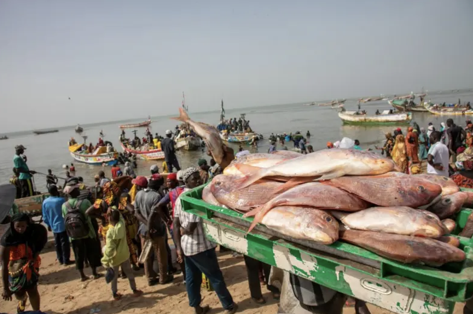 La riposte de Dakar face aux déclarations européennes sur la pêche…